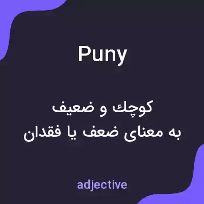 معنی puny به فارسی معنی puny به فارسی
