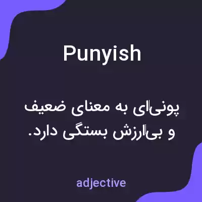 معنی punyish به فارسی معنی punyish به فارسی