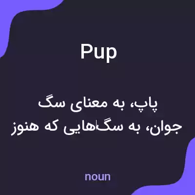 معنی pup به فارسی معنی pup به فارسی