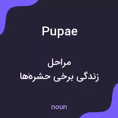 معنی pupae به فارسی معنی pupae به فارسی