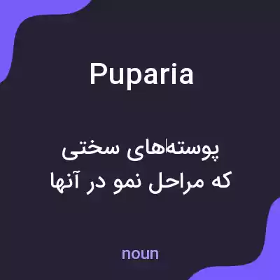 معنی puparia به فارسی معنی puparia به فارسی
