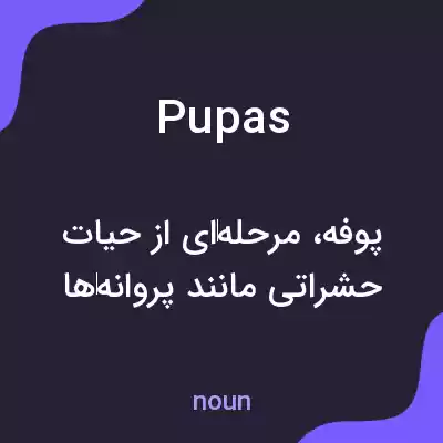 معنی pupas به فارسی معنی pupas به فارسی