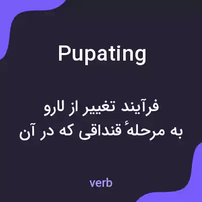 معنی pupating به فارسی معنی pupating به فارسی