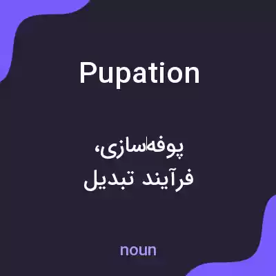 معنی pupation به فارسی معنی pupation به فارسی