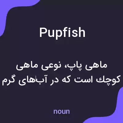 معنی pupfish به فارسی معنی pupfish به فارسی