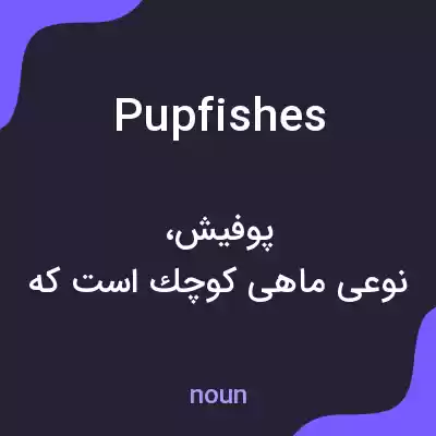معنی pupfishes به فارسی معنی pupfishes به فارسی