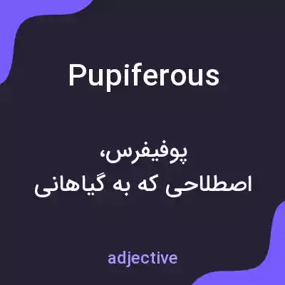 معنی pupiferous به فارسی معنی pupiferous به فارسی