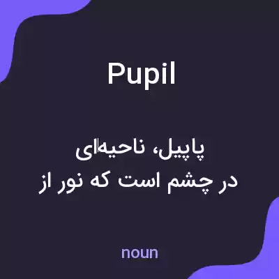 معنی pupil به فارسی