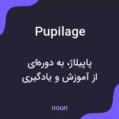 معنی pupilage به فارسی معنی pupilage به فارسی