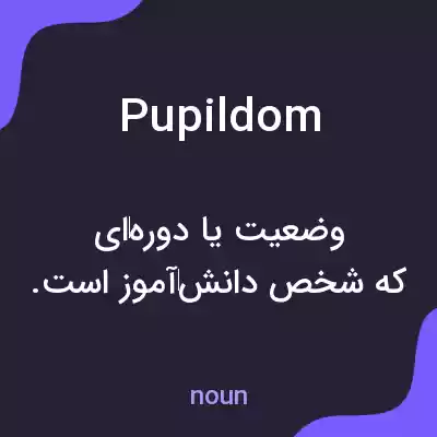 معنی pupildom به فارسی معنی pupildom به فارسی