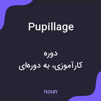 معنی pupillage به فارسی معنی pupillage به فارسی