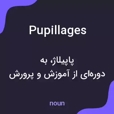 معنی pupillages به فارسی معنی pupillages به فارسی