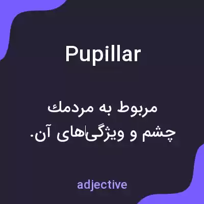 معنی pupillar به فارسی معنی pupillar به فارسی