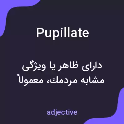 معنی pupillate به فارسی معنی pupillate به فارسی