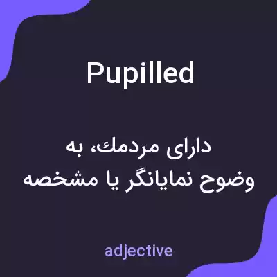 معنی pupilled به فارسی معنی pupilled به فارسی