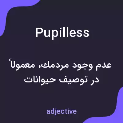 معنی pupilless به فارسی معنی pupilless به فارسی