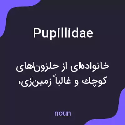 معنی pupillidae به فارسی معنی pupillidae به فارسی