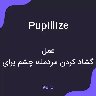 معنی pupillize به فارسی