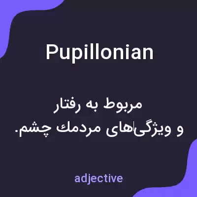 معنی pupillonian به فارسی