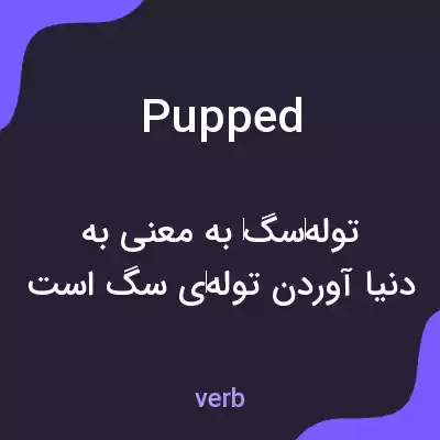 معنی pupped به فارسی معنی pupped به فارسی