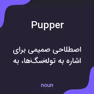 معنی pupper به فارسی معنی pupper به فارسی