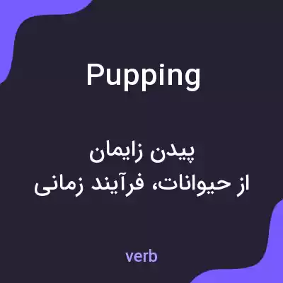 معنی pupping به فارسی معنی pupping به فارسی