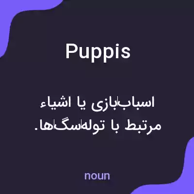 معنی puppis به فارسی