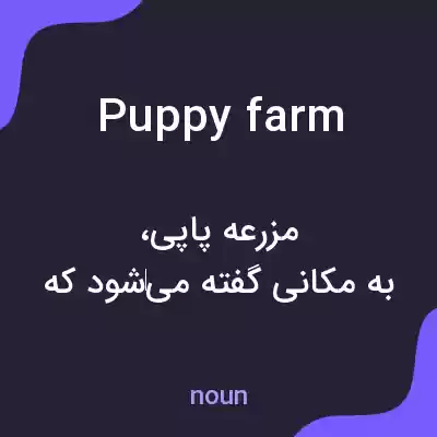 معنی puppy farm به فارسی معنی puppy farm به فارسی