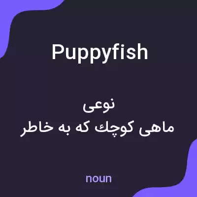 معنی puppyfish به فارسی معنی puppyfish به فارسی
