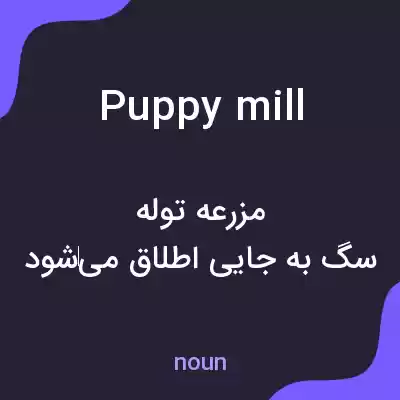 معنی puppy mill به فارسی