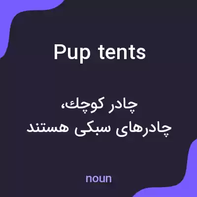 معنی pup tents به فارسی معنی pup tents به فارسی