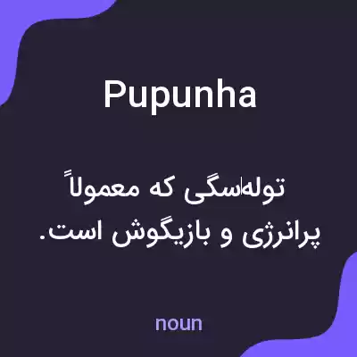 معنی pupunha به فارسی معنی pupunha به فارسی