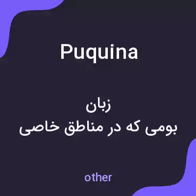 معنی puquina به فارسی معنی puquina به فارسی