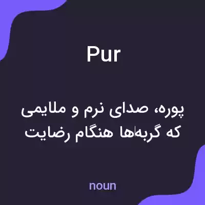 معنی pur به فارسی معنی pur به فارسی