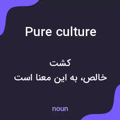 معنی pure culture به فارسی