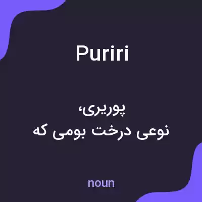 معنی puriri به فارسی معنی puriri به فارسی
