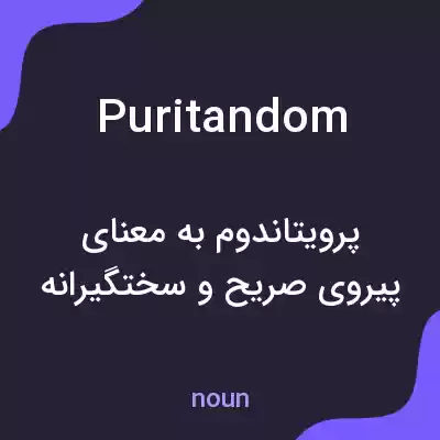 معنی puritandom به فارسی