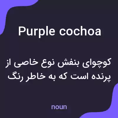 معنی purple cochoa به فارسی معنی purple cochoa به فارسی