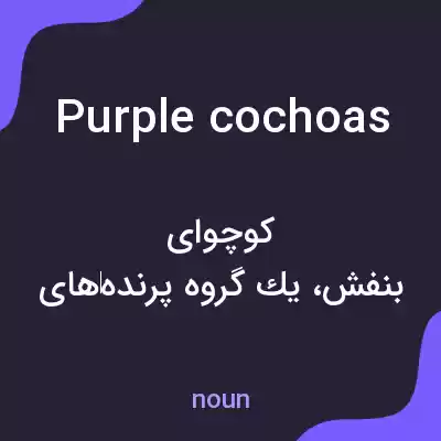 معنی purple cochoas به فارسی معنی purple cochoas به فارسی