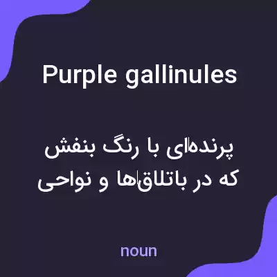 معنی purple gallinules به فارسی معنی purple gallinules به فارسی
