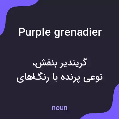 معنی purple grenadier به فارسی معنی purple grenadier به فارسی