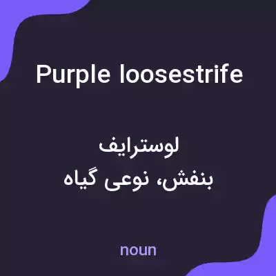 معنی purple loosestrife به فارسی معنی purple loosestrife به فارسی