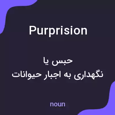 معنی purprision به فارسی