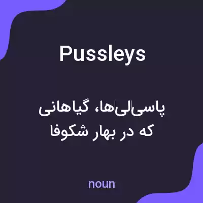 معنی pussleys به فارسی معنی pussleys به فارسی