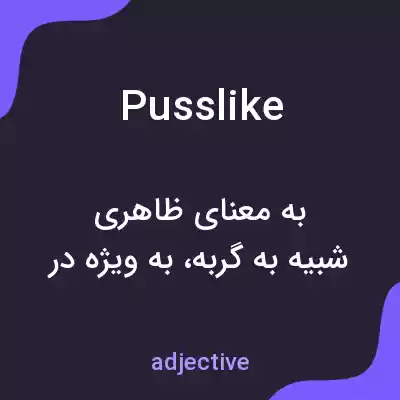 معنی pusslike به فارسی معنی pusslike به فارسی