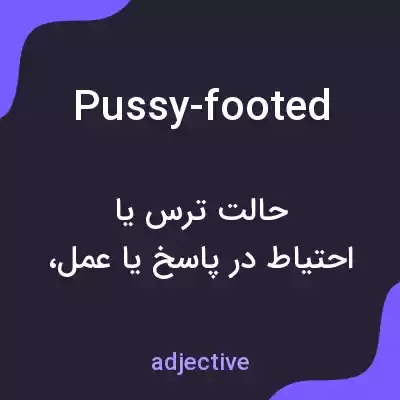 معنی pussy-footed به فارسی معنی pussy-footed به فارسی