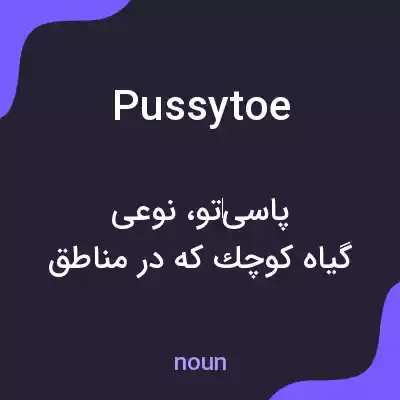 معنی pussytoe به فارسی معنی pussytoe به فارسی