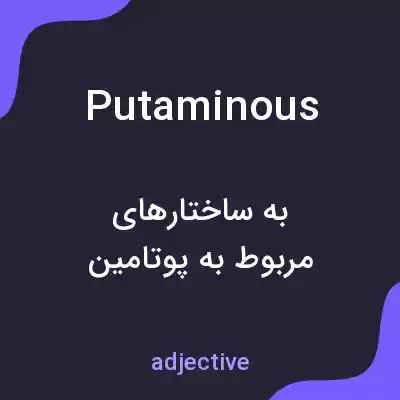 معنی putaminous به فارسی