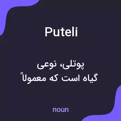 معنی puteli به فارسی معنی puteli به فارسی