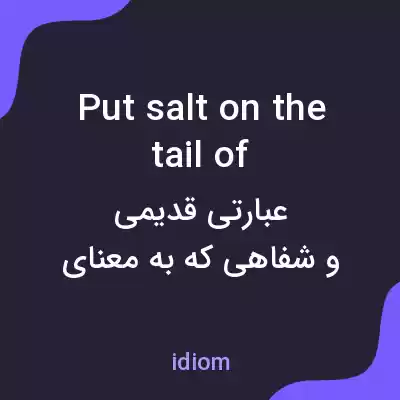 معنی put salt on the tail of به فارسی معنی put salt on the tail of به فارسی